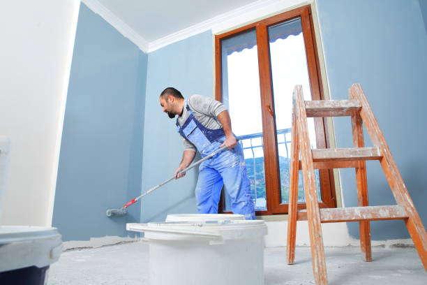 Best Repainting for Renovations  in Bellevle, IL